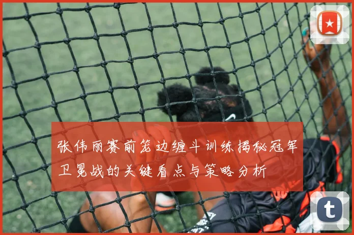 张伟丽赛前笼边缠斗训练揭秘冠军卫冕战的关键看点与策略分析